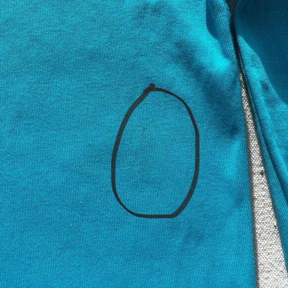 Primary Organic Long-Sleeve PJ Top and Pants, "Peacock" color, Size 4-5, VGUC - Picture 5 of 14